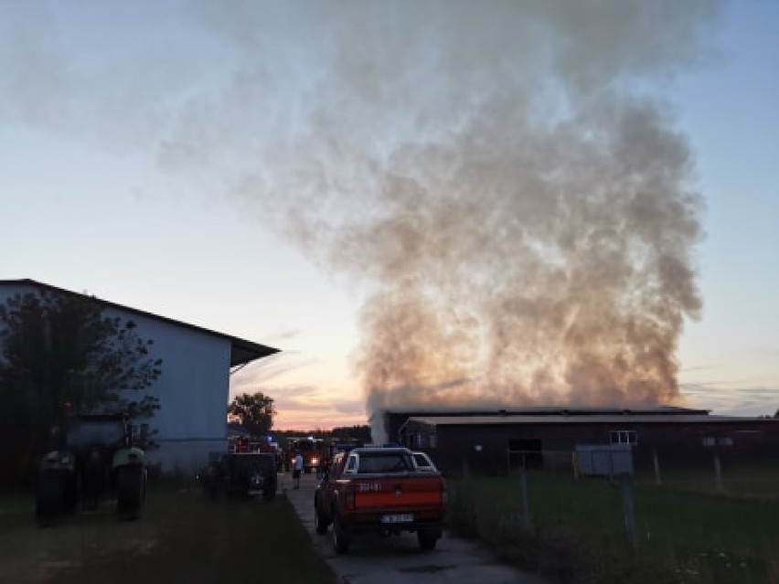 Poważny pożar w gminie Włocławek. Płonie gospodarstwo rolno hodowlane [zdjęcia, wideo]