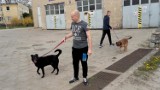 Gimnazjaliści przeprowadzili akcję pomocy dla psów ze schroniska