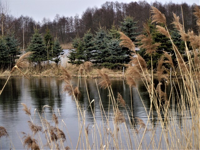 Gmina Zbąszyń. Dzisiaj z marcem 2022, się żegnamy. Jaki by? Zobaczcie na naszych fotografiach!