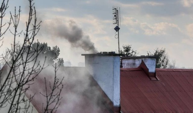 Deklarację do CEEB można składać jeszcze tylko przez kilka dni