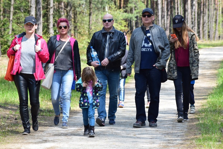 Majowy spacer w Geoparku Łuk Mużakowa w Łęknicy niedaleko Żar. Tak było 4 lata temu