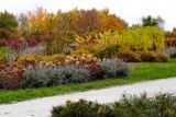 Jesiennie kolory w Ogrodzie Botanicznym w Kielcach. Ostatnia okazja na zwiedzanie. Zobaczcie zdjęcie