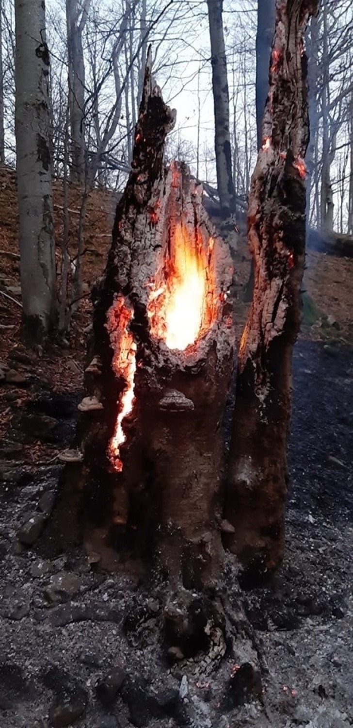 Akcja GOPR i strażaków na Połoninie Caryńskiej. Pożar lasu i wypadek quada [ZDJĘCIA]