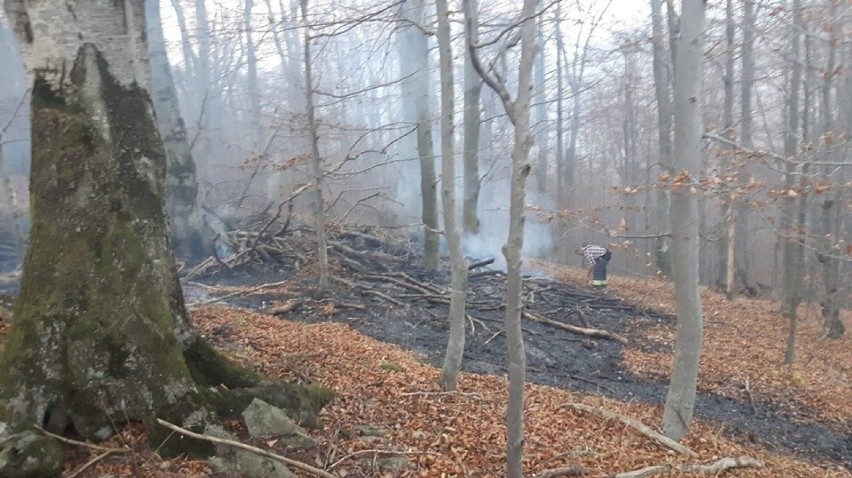 Akcja GOPR i strażaków na Połoninie Caryńskiej. Pożar lasu i wypadek quada [ZDJĘCIA]