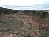 Wycinka drzew pod S6 między Bożympolem W. przez Lębork po Leśnice. Zdjęcia z drona