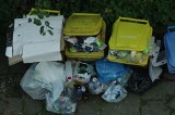 Kraków: śmieci czekają na wywózkę, bo w systemie panuje chaos