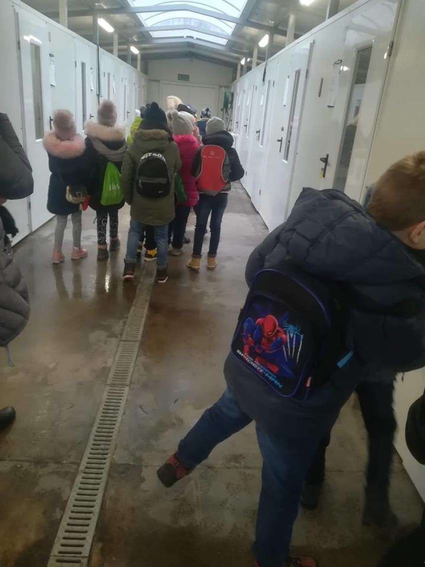 Uczniowie z SP 3 odwiedzili schronisko dla zwierząt we Włocławku [zdjęcia, wideo]