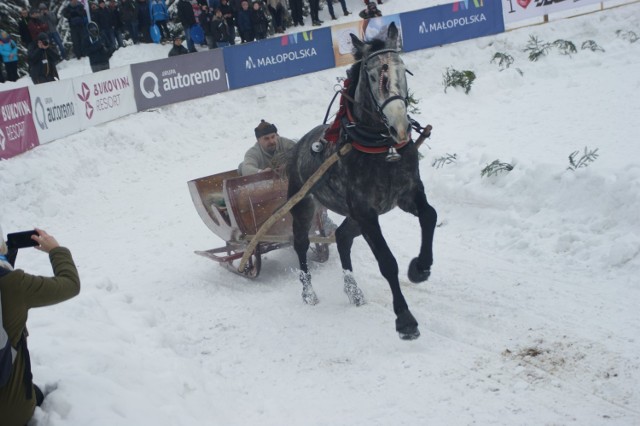 Kumoterki - Bukowina Tatrzańska 2018