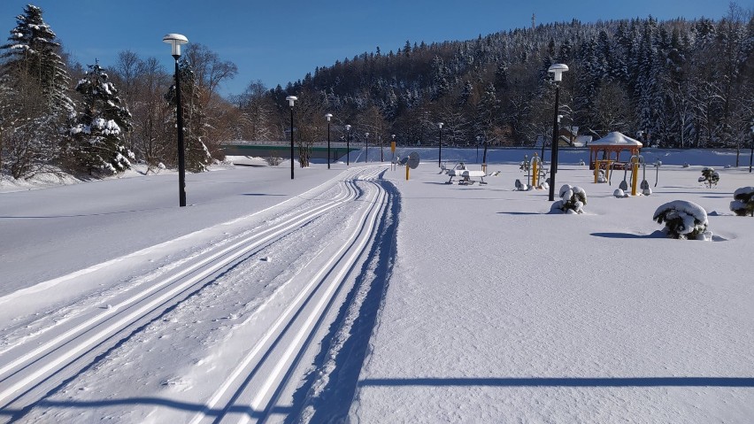 Trasy narciarstwa biegowego w Krośnie i powiecie krośnieńskim. Jest coraz więcej miejsc do jazdy na biegówkach[ZDJĘCIA]