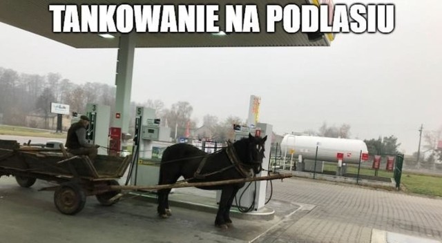 Nowe memy o Podlasiu i Podlasianach. Oto Najśmieszniejsze śmieszne obrazki, zdjęcia, gify i memy podlaskie przygotowane przez Nienormalny Białystok