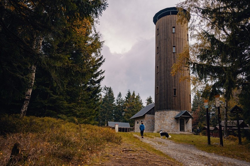 Góra Borówkowa znajduje się godzinę drogi od Nysy. Jest tam...