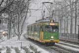 Atak śnieżycy w Poznaniu. Odśnieżarki wyjechały na ulice. Zobacz zdjęcia!