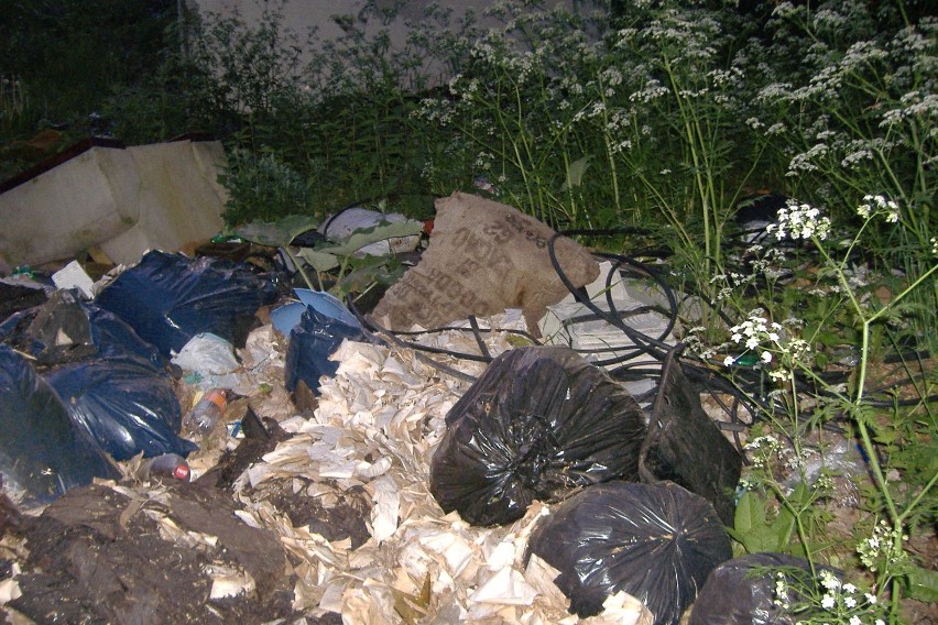 Dzikie wysypisko śmieci w Załomiu