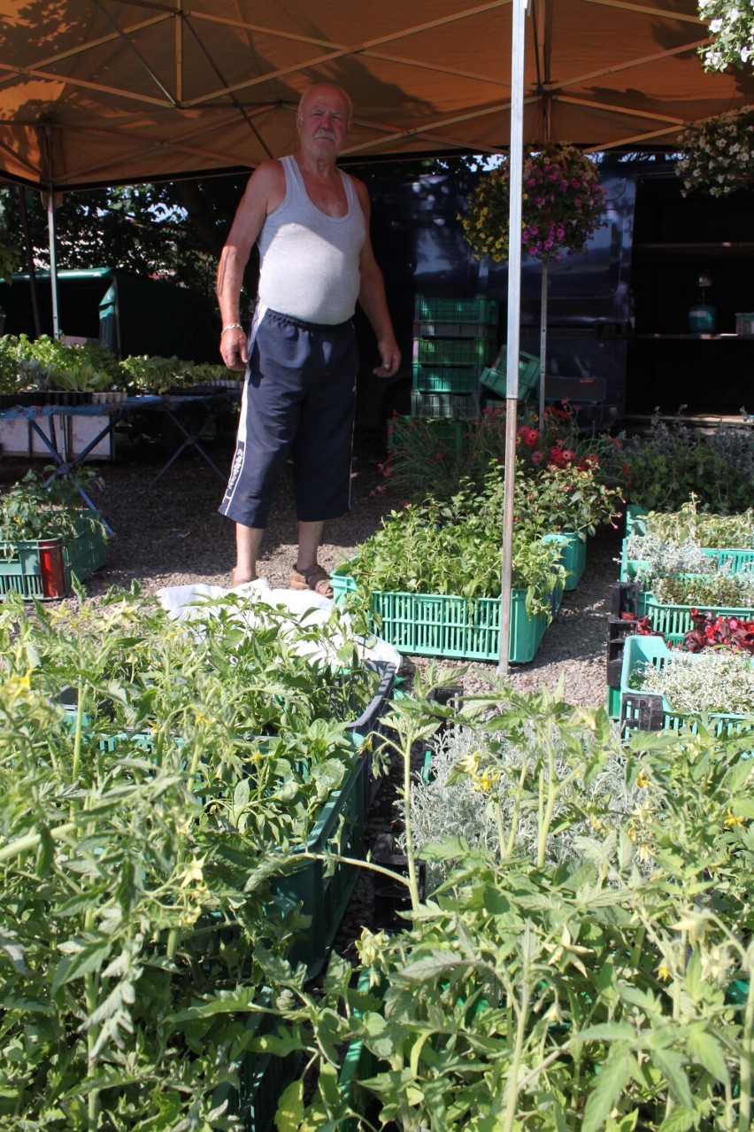 Bazar w Sanoku. Tu kupisz kwiaty, ubrania i starocie. Zobacz ceny i jaki towar jest sprzedawany!