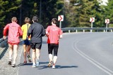 150 wrocławian pobiegnie w Półmaratonie Henrykowskim
