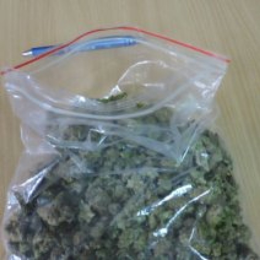 100 gram marihuany w rękach złotowskiej policji