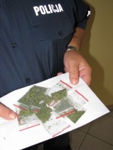 Puławy: Schował marihuanę w slipkach