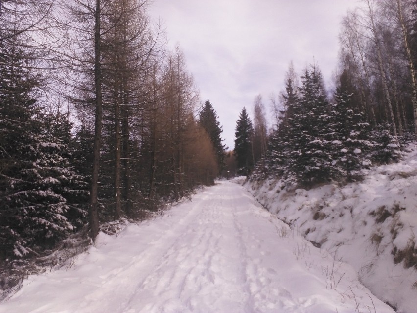 Karkonosze. W górach nadal piękna zima  (FOTO)