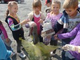 Wielkie Sprzątanie Świata w Radomsku: Zebrali 100 ton śmieci