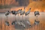 Wieża Ciśnień w Kaliszu. Zobacz wspaniałe fotografie uczestników konkursu "W obiektywie" ZDJĘCIA