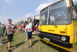 Zlot w Katowicach zabytkowych autobusów. Impreza na lotnisku Muchowiec przyciągnął fanów motoryzacji - zobacz ZDJĘCIA