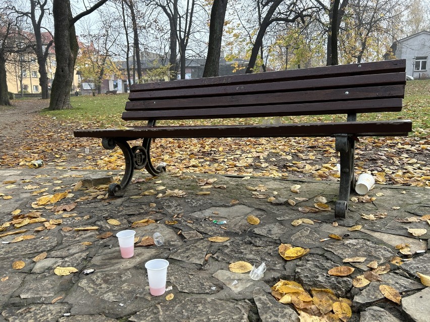 Śmieci w parku miejskim w Olkuszu