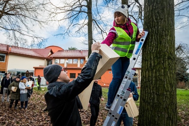 W ramach akcji „Energia do Działania - okaż kulturę chroniąc naturę” na terenie LPKiW zamontowano nowe budki lęgowe dla ptaków. Wykonali je uczniowie Zespołu Szkół Drzewnych.