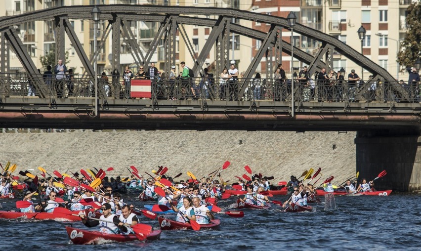 Red Bull Wiosłem po Odrze, Wrocław, 3.10.2015