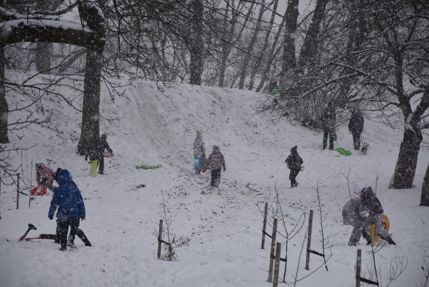 Zima w Tarnowie. Dzieci w końcu mają białe ferie, zjeżdżają na sankach i lepią bałwany. Prawdziwe zimowe szaleństwo [ZDJĘCIA]