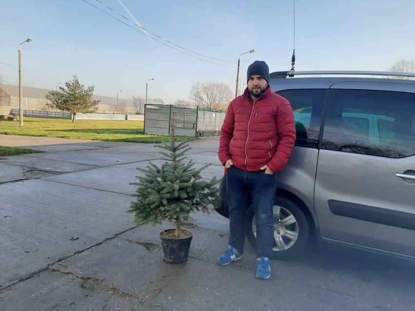 Akcja schroniska w Bełchatowie "PSYgarnij choinkę" nabiera tempa 