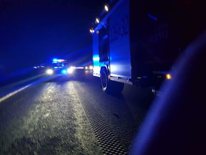 Zderzenie z łosiem na drodze S7 w okolicy miejscowości Kiezmark. Strażacy interweniowali dwa razy w ciągu doby