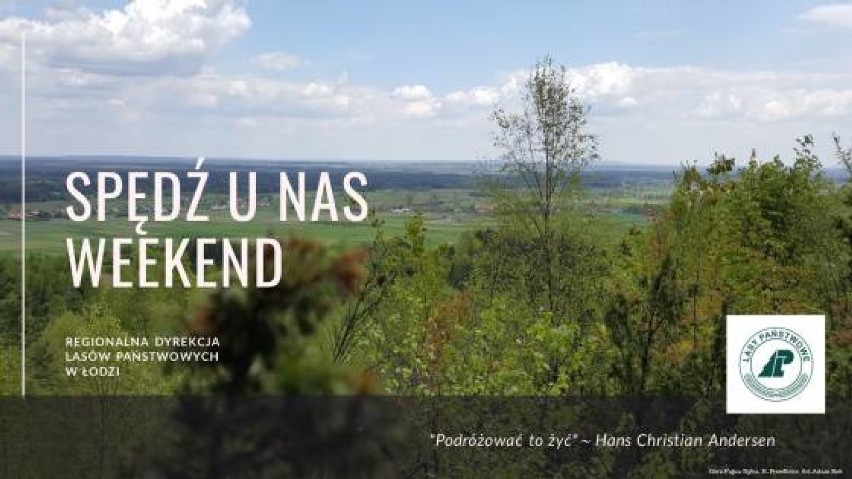 Konkurs Dziennika Łódzkiego "Pomóżmy sprzątać lasy, poznajmy ich przyrodę”