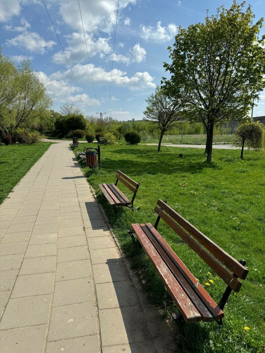 W radomskim parku na osiedlu Gołębiów zostaną odnowione ławki
