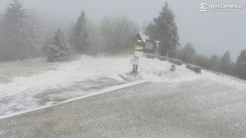 W Krynicy-Zdroju spadł śnieg. Na stacjach narciarskich jest biało. Zima także na Limanowszczyźnie. Zobacz zdjęcia 