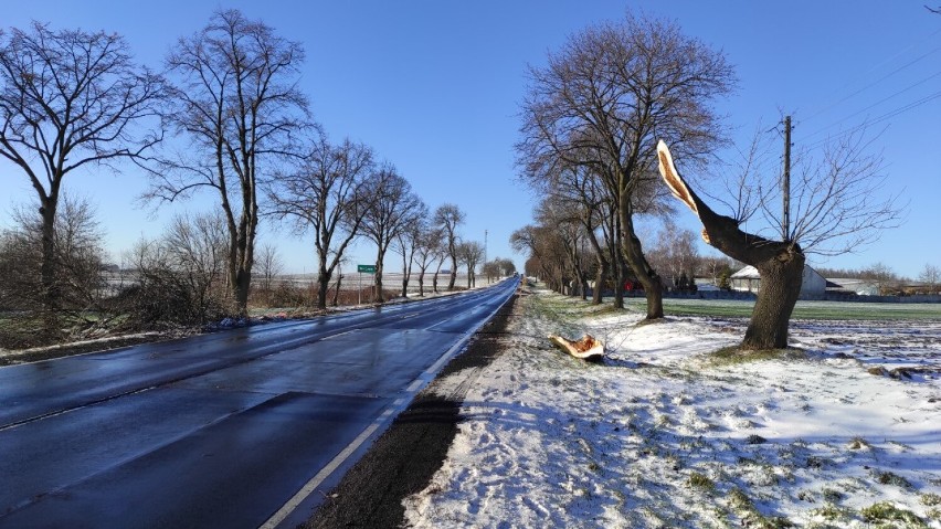 Skutki śnieżnej nawałnicy w naszym regionie