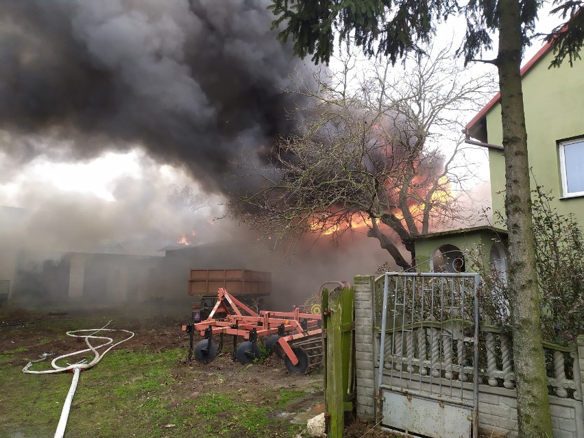 Duży pożar w powiecie włocławskim. Kilka zastępów straży pożarnej walczy z ogniem. Padły zwierzęta [zdjęcia]