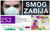Alarm smogowy w woj. śląskim. Sprawdź gdzie jest najgorzej [LISTA MIAST]