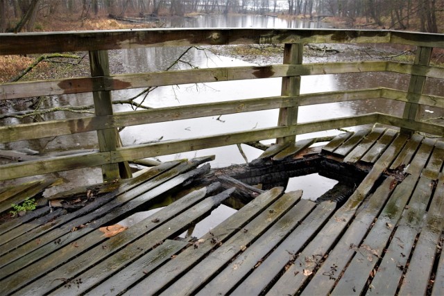 Zniszczone pomosty i śmieci pływające w wodzie - tak wygląda park za dużym bazarem w Słubicach