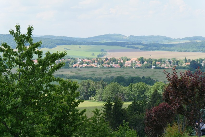 Arboretum w Wojsławicach