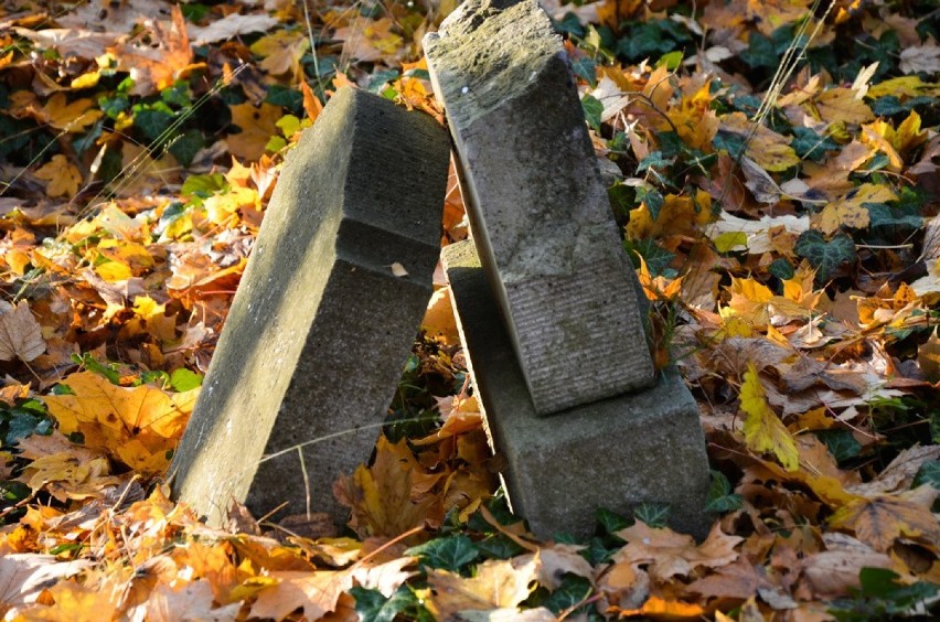 Zapomniany Cmentarz Krematoryjny na Szubienicznej Górze
