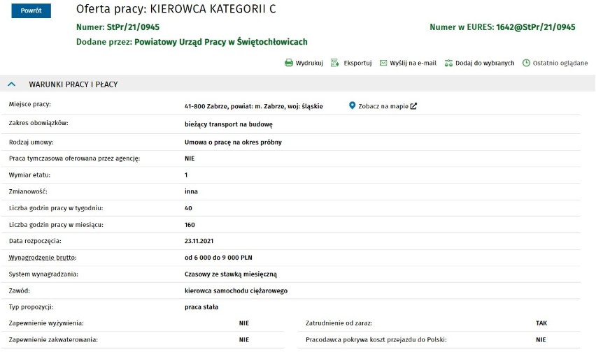 Praca w Zabrzu. Gdzie zarobisz najwięcej? Można liczyć nawet na 10 tys. zł. brutto! Zobacz te OFERTY PRACY