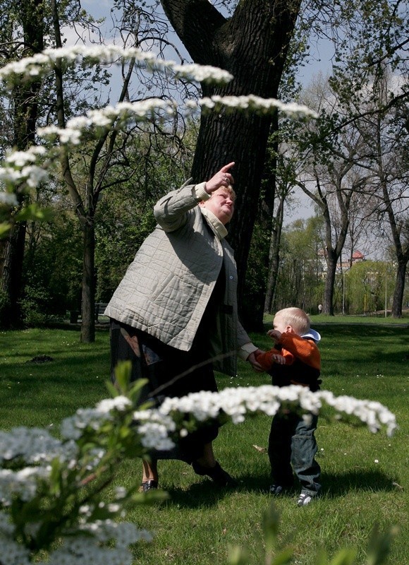 Park Kościuszki w Katowicach