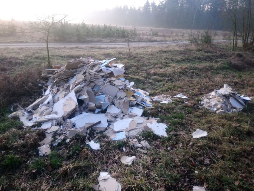 Dzikie wysypiska: Śmieci rozsypane pod lasem w Esterpolu