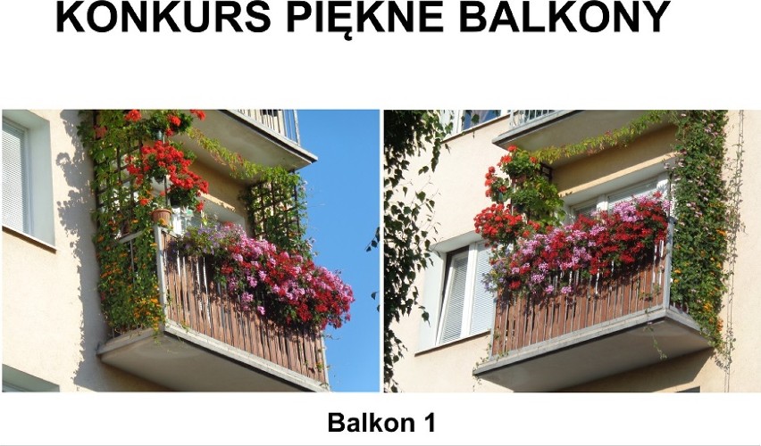 Oto piękne balkony i ogrody w Gorzowie. Które zdobędą główne nagrody? [ZDJĘCIA]