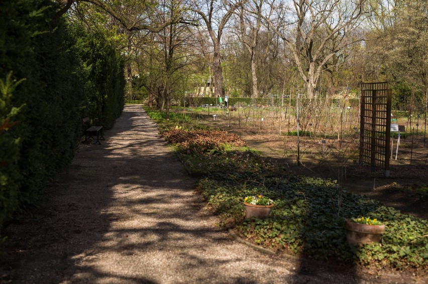 Ogród Botaniczny UW już otwarty! Przed nami wycieczki,...