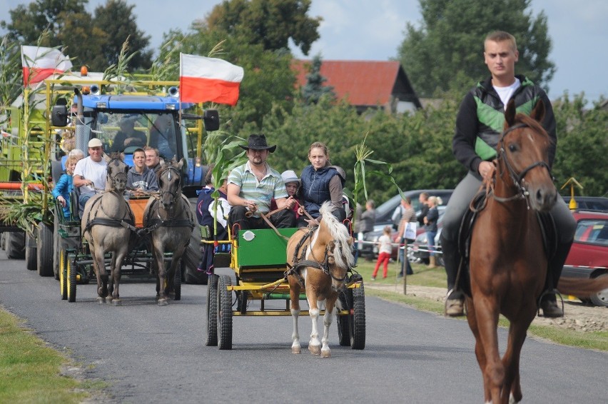 Dożynki powiatowo-gminne 2013 - Nowieczek gmina Dolsk - 1...