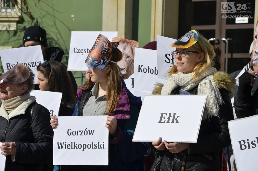 Cyrk bez zwierząt w Szczecinie? Protest aktywistów [wideo]