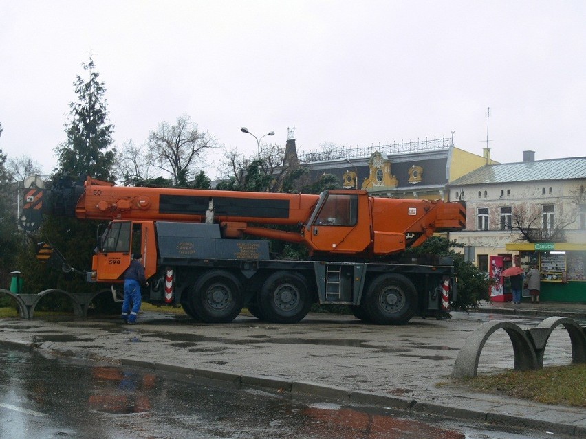 Piękna choinka stanęła na placu Kościuszki