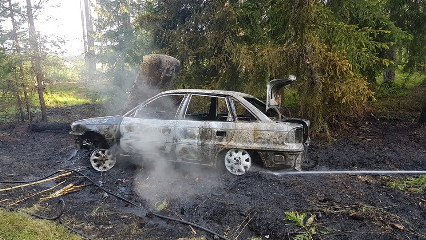 Pożar samochodu w lesie na drodze Trzebieszki - Prądy