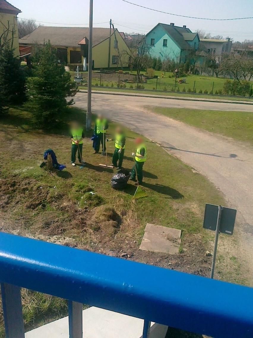 Osadzeni w Oddziale Zewnętrznym Przywary w Sierakowie Śląskim po raz kolejny sprzątali okolicę